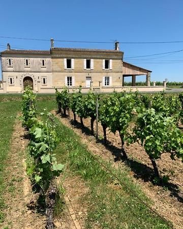 Gite Du Chateau La Rose Des Vents Villa Puisseguin Exterior foto